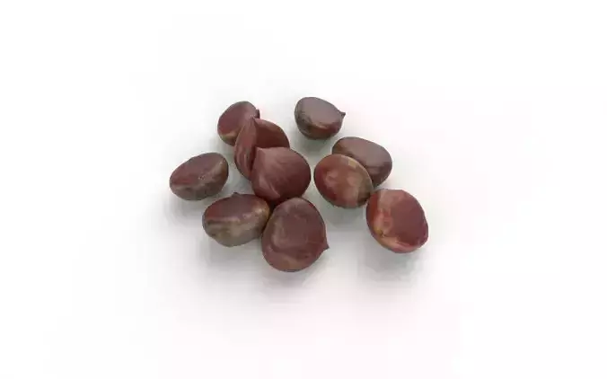 Chestnut Set 01 Low-poly 3D model 6