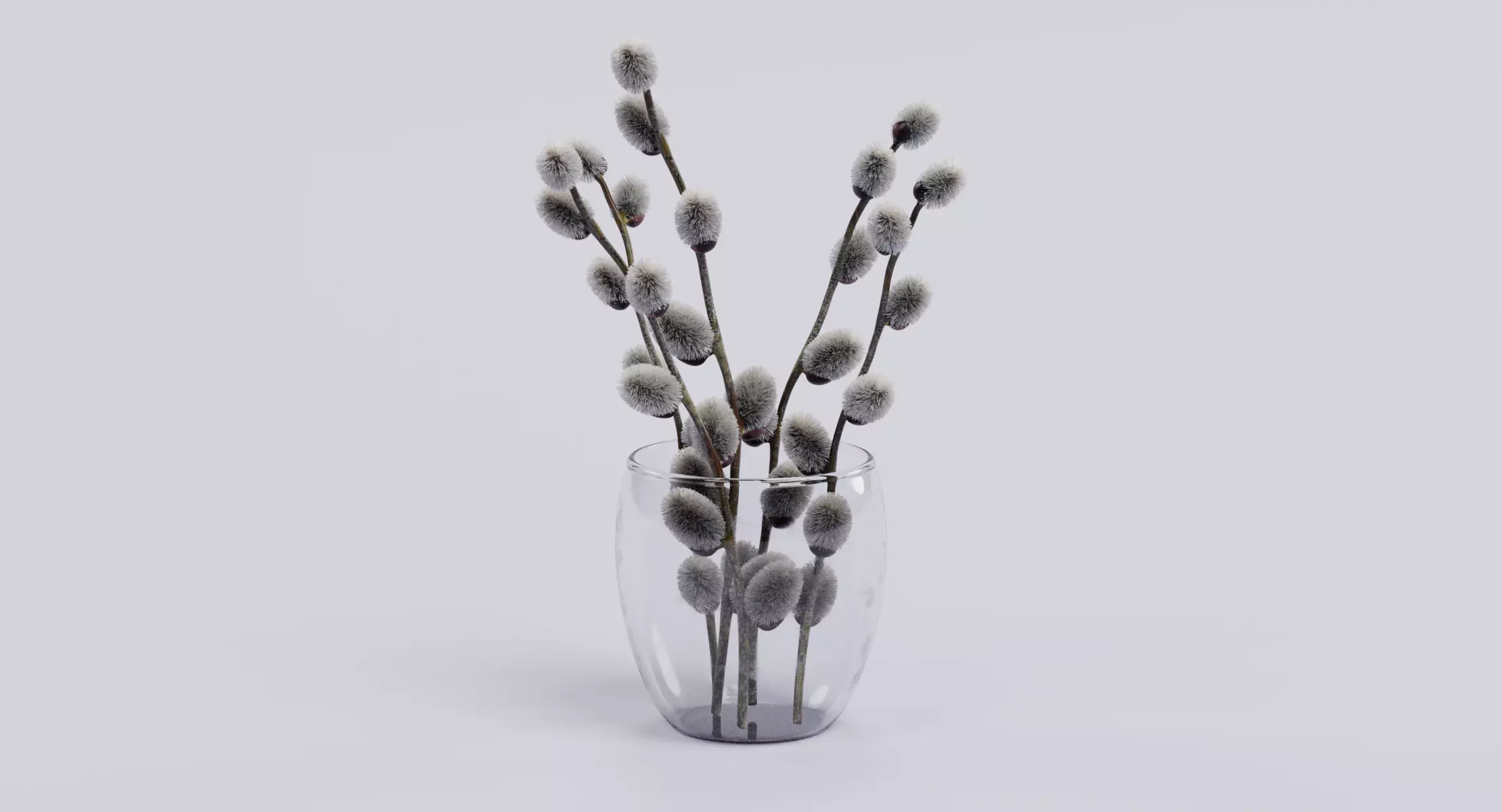 Willow Catkins in Vase - Botanical Arrangement 3D model
