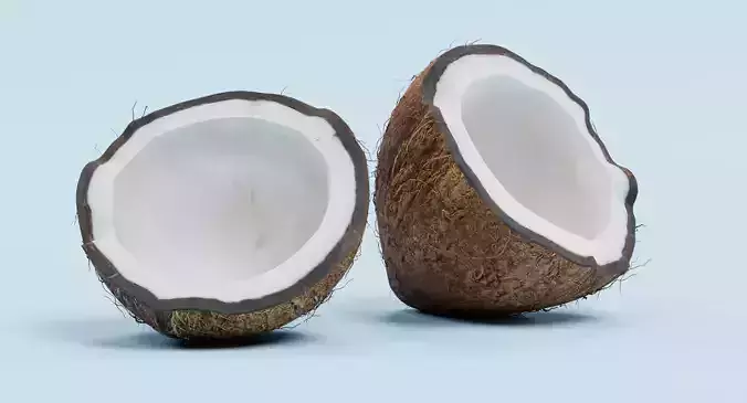 Cracked Coconut - Realistic Split Tropical Fruit 3D model 4