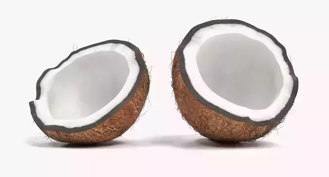Cracked Coconut - Realistic Split Tropical Fruit 3D model 2