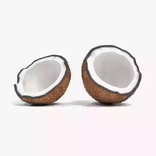 Cracked Coconut - Realistic Split Tropical Fruit 3D model