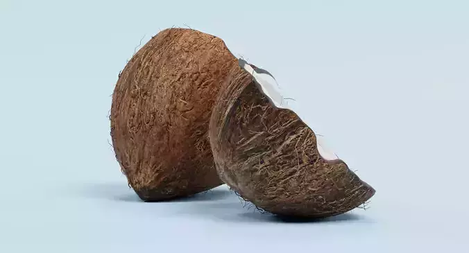 Cracked Coconut - Realistic Split Tropical Fruit 3D model 6