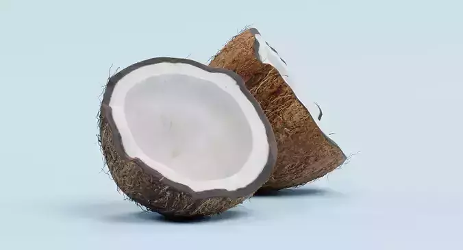 Cracked Coconut - Realistic Split Tropical Fruit 3D model 5