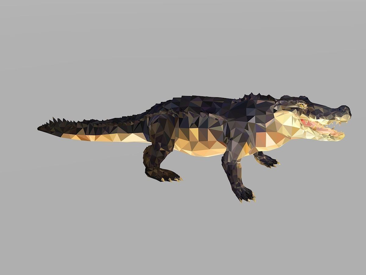 Crocodile Low Polygon Art Reptile Animal Low-poly 3D model_27