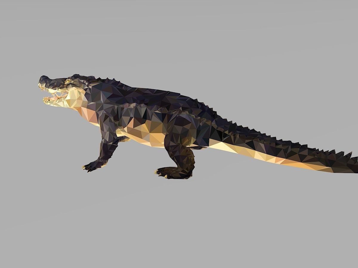 Crocodile Low Polygon Art Reptile Animal Low-poly 3D model_12