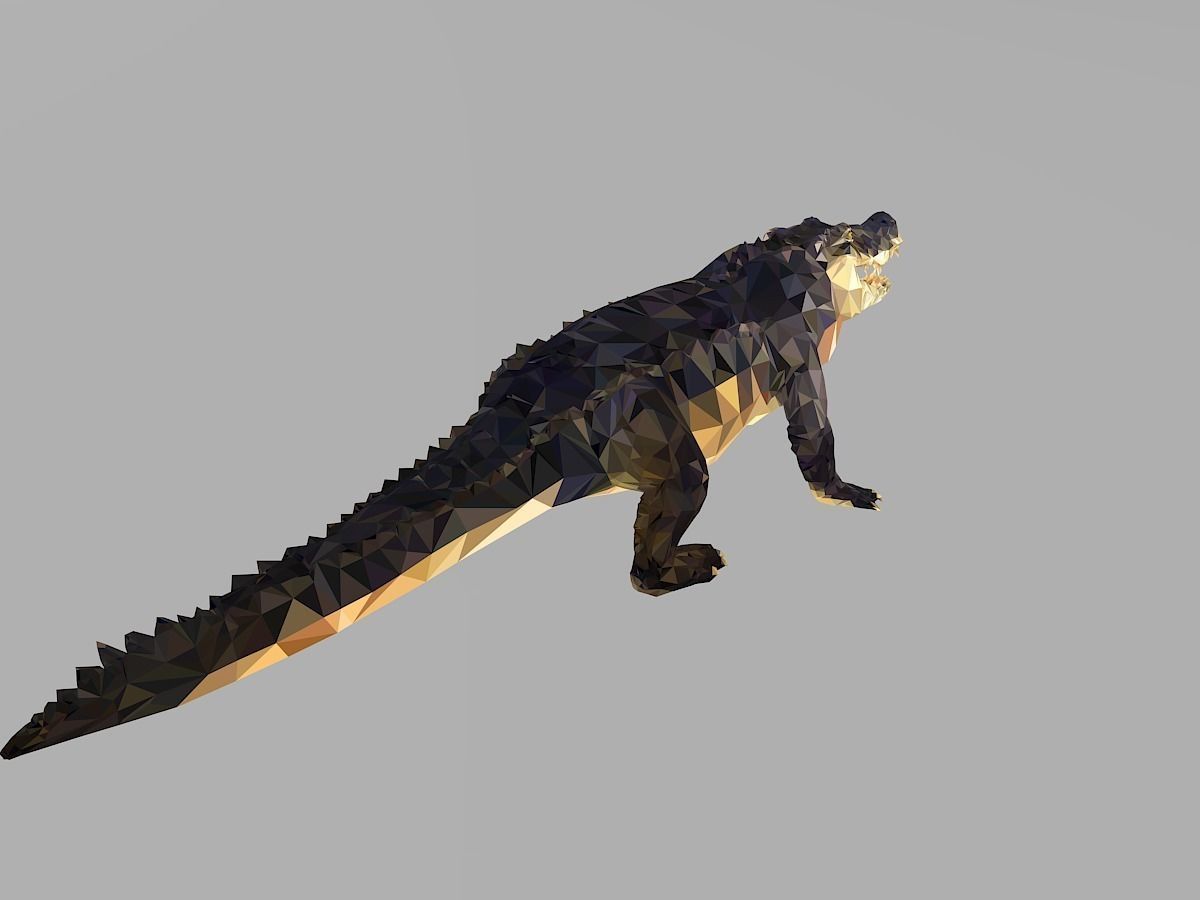 Crocodile Low Polygon Art Reptile Animal Low-poly 3D model_22