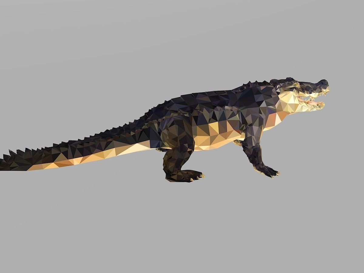 Crocodile Low Polygon Art Reptile Animal Low-poly 3D model_25