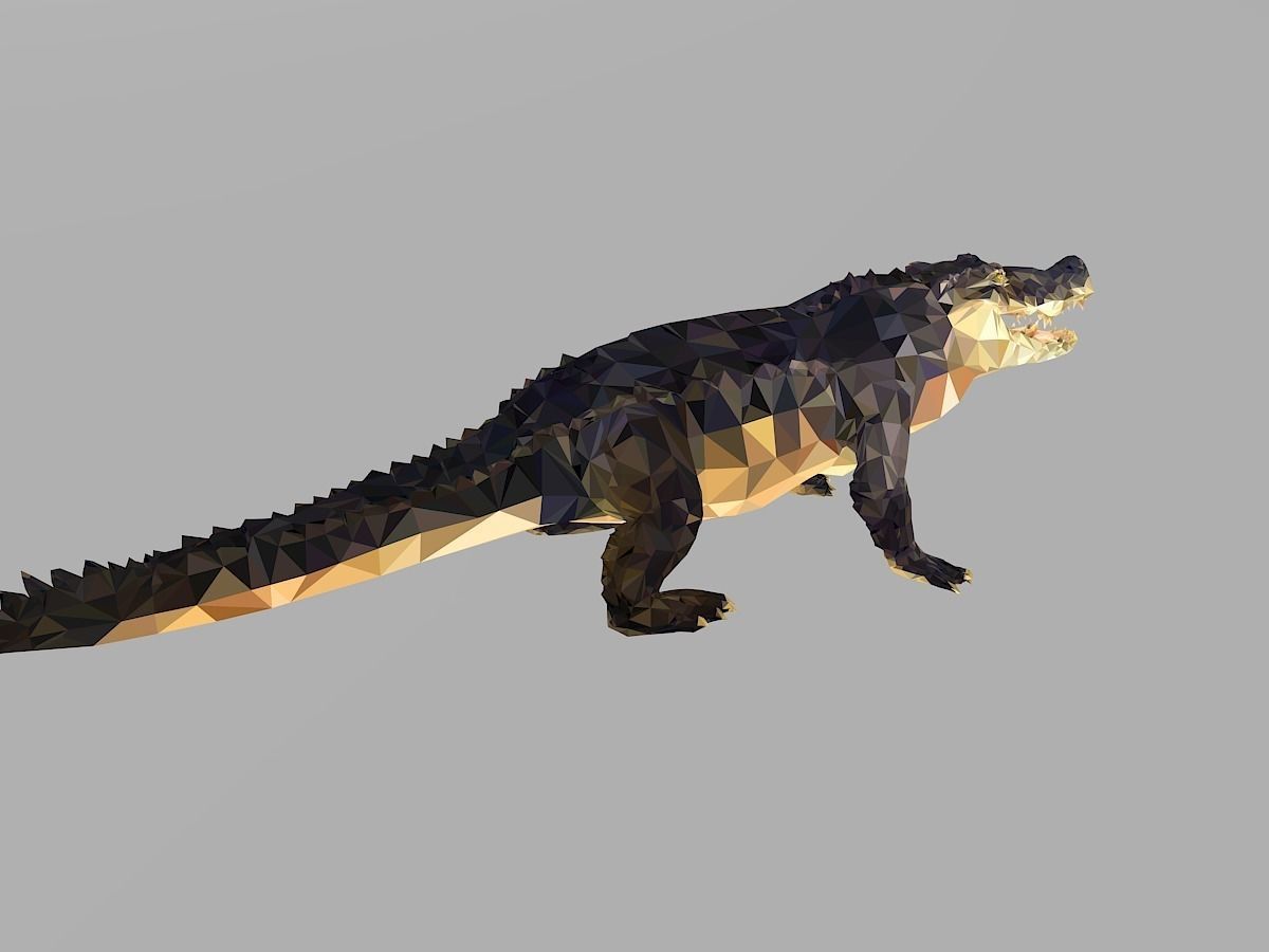 Crocodile Low Polygon Art Reptile Animal Low-poly 3D model_23