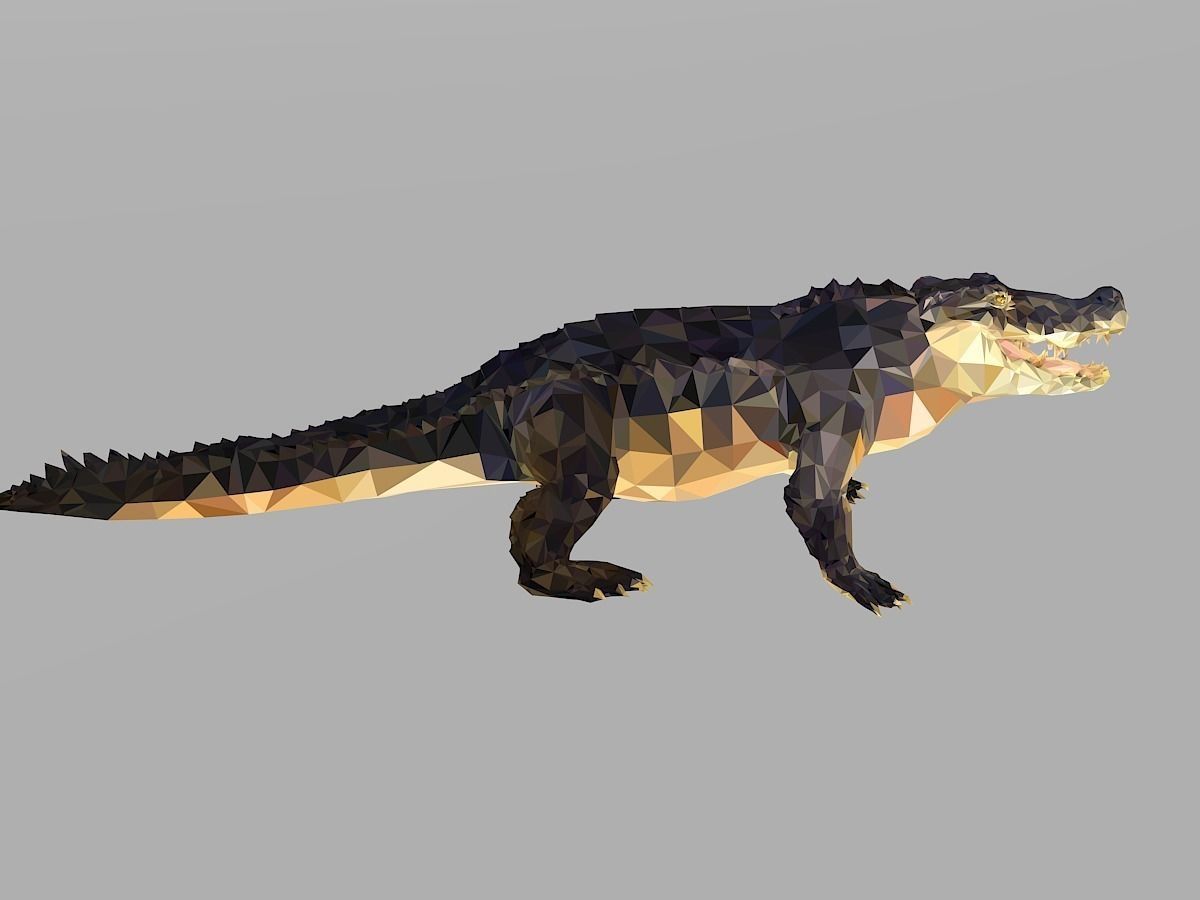Crocodile Low Polygon Art Reptile Animal Low-poly 3D model_26