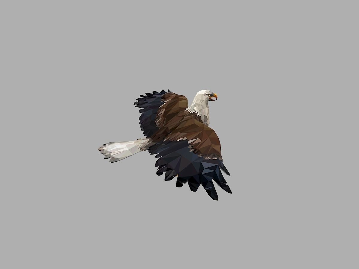 Bald Eagle Low Polygon Art Bird Animal Low-poly 3D model_15