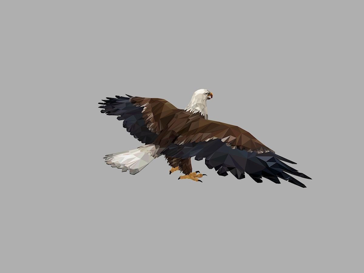 Bald Eagle Low Polygon Art Bird Animal Low-poly 3D model_14