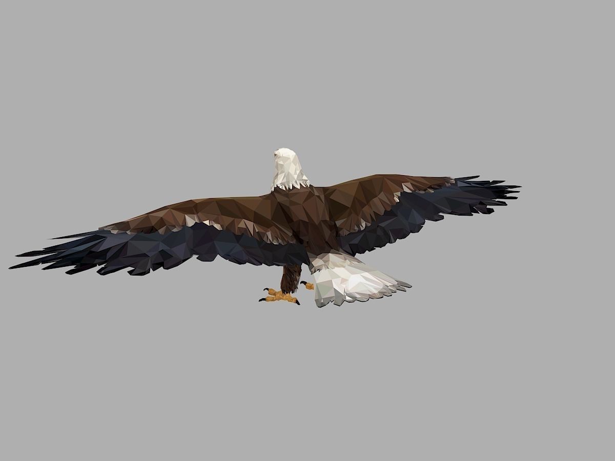 Bald Eagle Low Polygon Art Bird Animal Low-poly 3D model_8