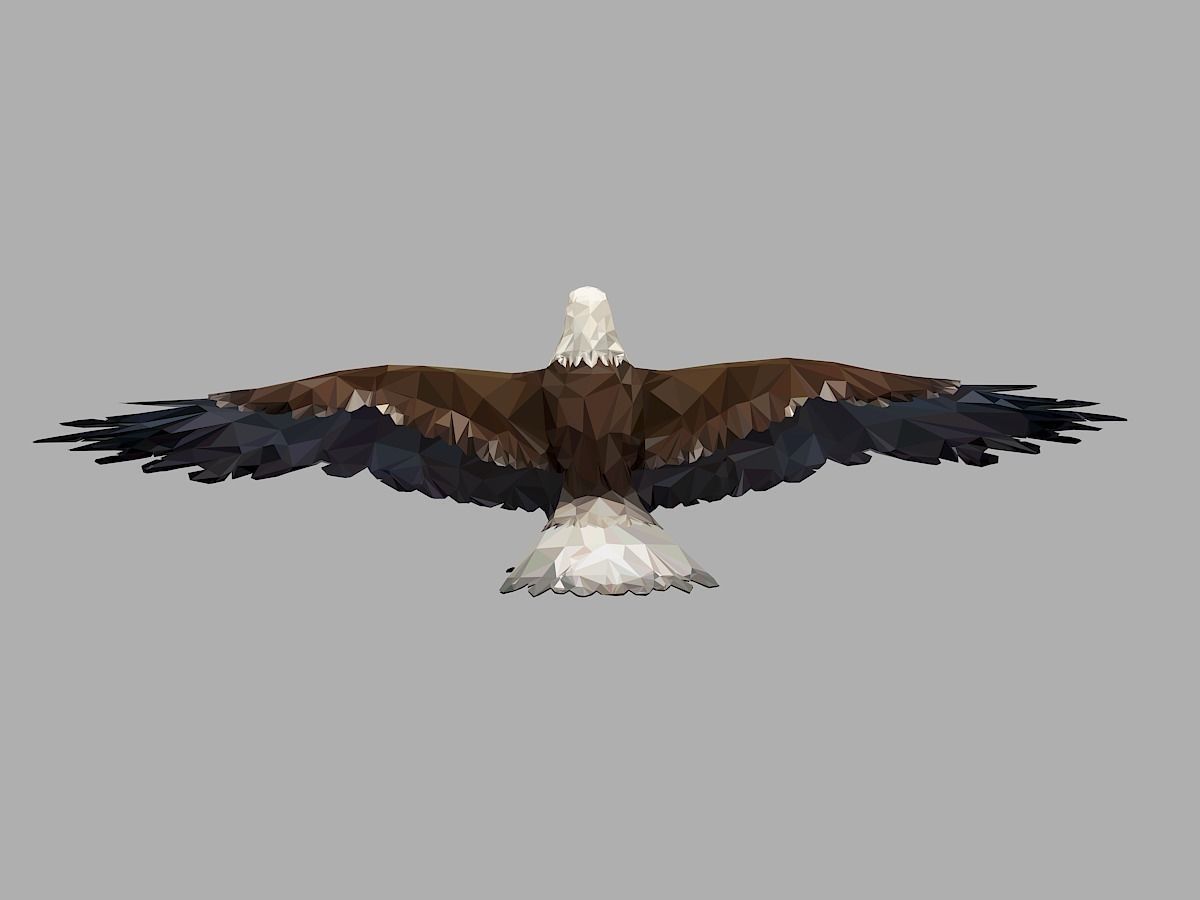 Bald Eagle Low Polygon Art Bird Animal Low-poly 3D model_10