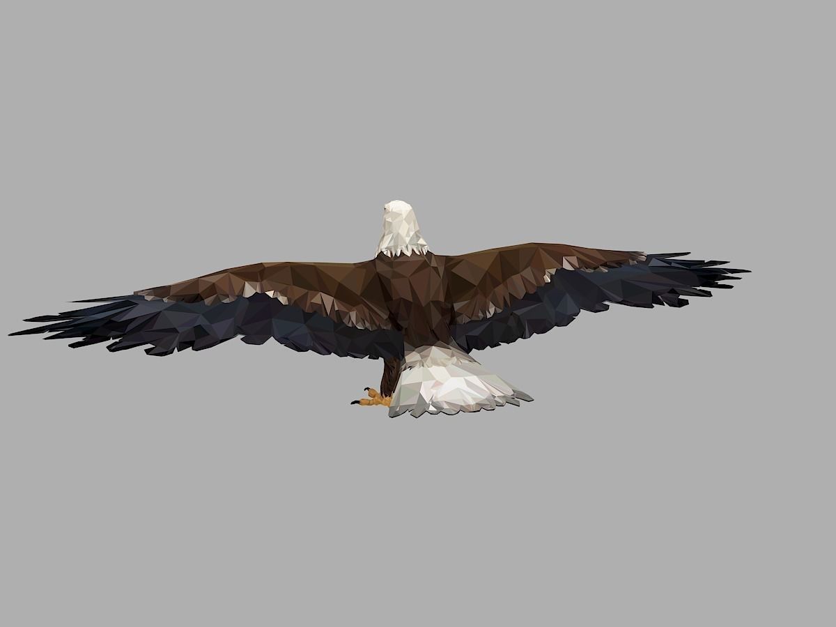 Bald Eagle Low Polygon Art Bird Animal Low-poly 3D model_9