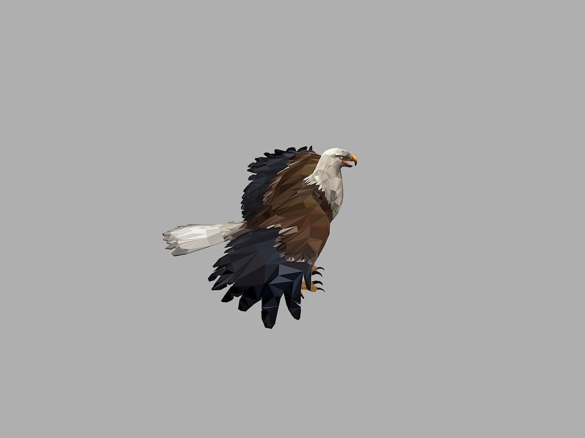 Bald Eagle Low Polygon Art Bird Animal Low-poly 3D model_16