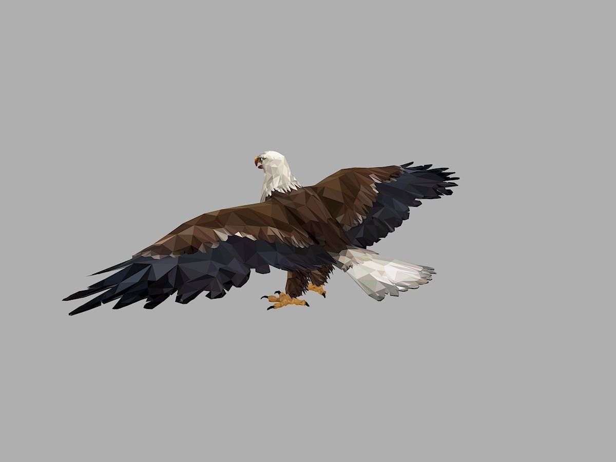 Bald Eagle Low Polygon Art Bird Animal Low-poly 3D model_6
