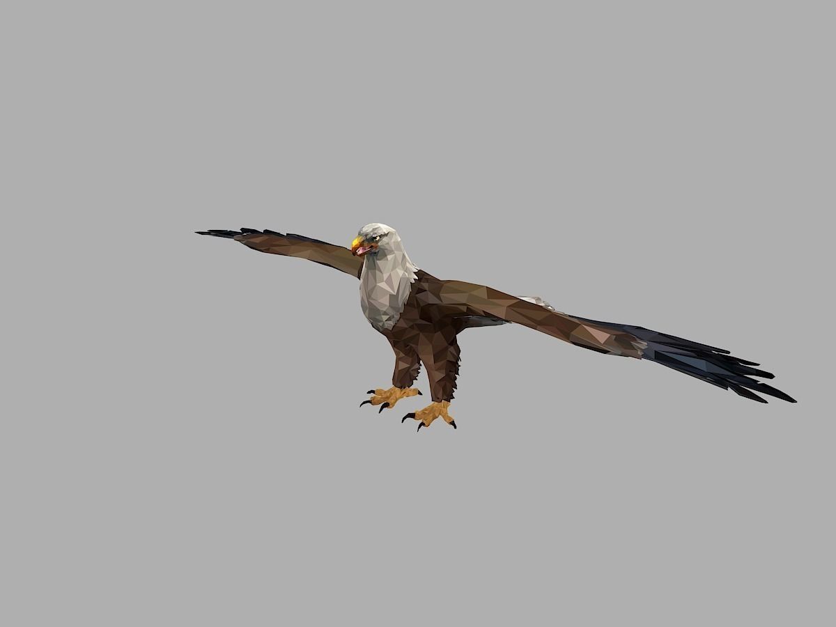 Bald Eagle Low Polygon Art Bird Animal Low-poly 3D model_1