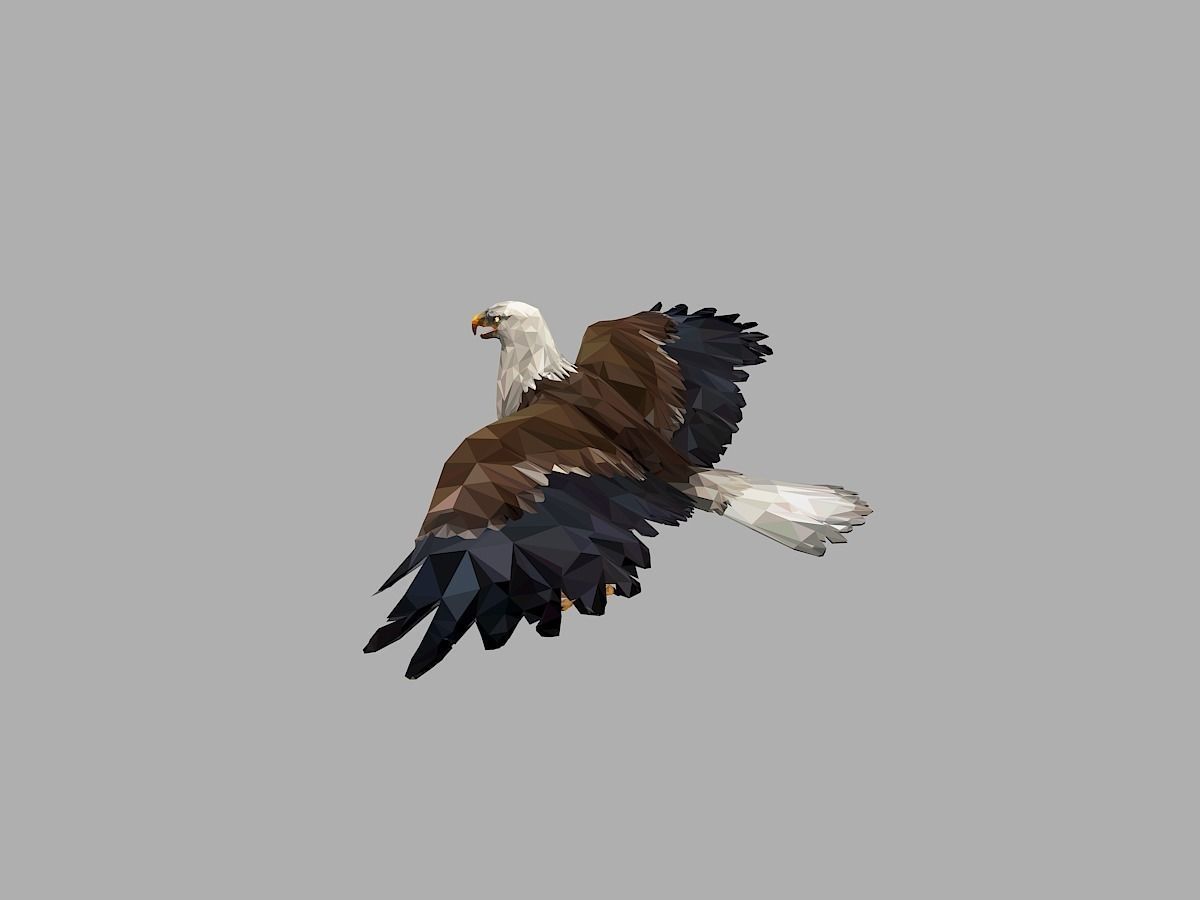 Bald Eagle Low Polygon Art Bird Animal Low-poly 3D model_5