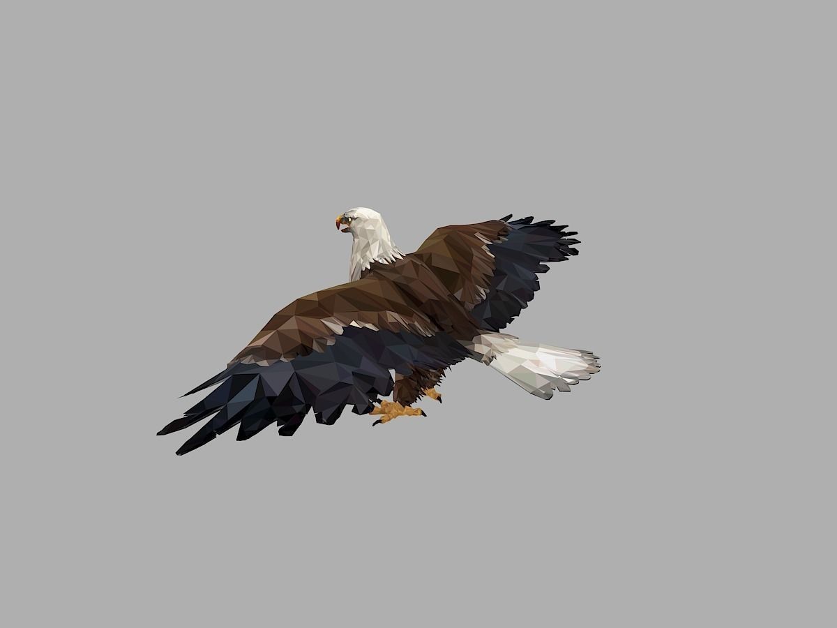 Bald Eagle Low Polygon Art Bird Animal Low-poly 3D model_7