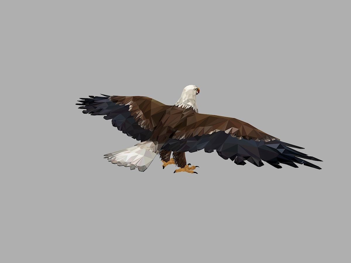Bald Eagle Low Polygon Art Bird Animal Low-poly 3D model_18