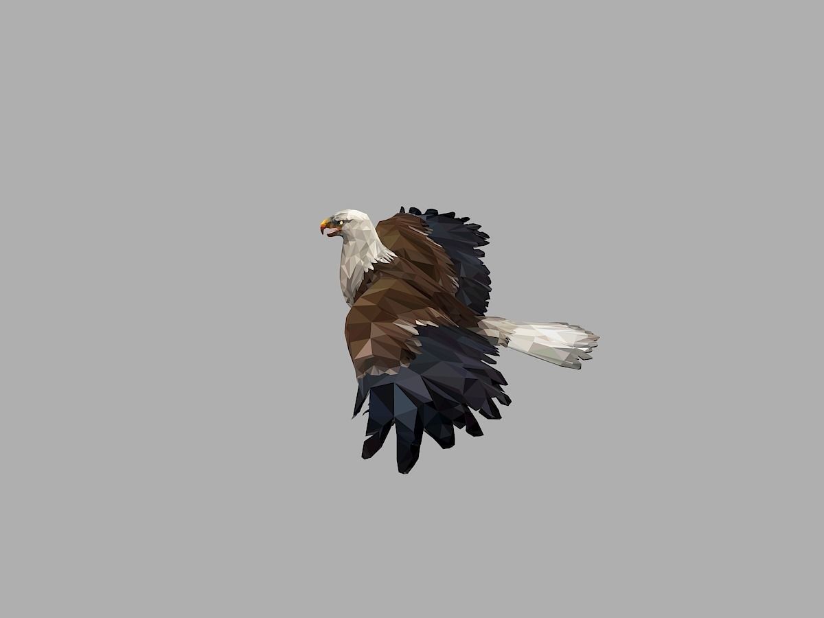 Bald Eagle Low Polygon Art Bird Animal Low-poly 3D model_3
