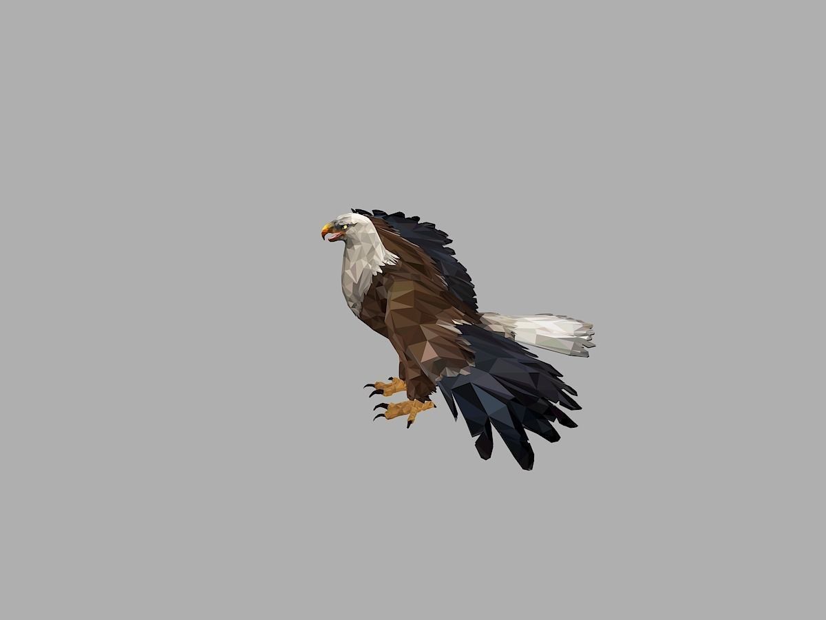 Bald Eagle Low Polygon Art Bird Animal Low-poly 3D model_4