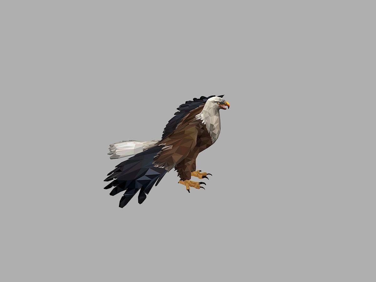 Bald Eagle Low Polygon Art Bird Animal Low-poly 3D model_17