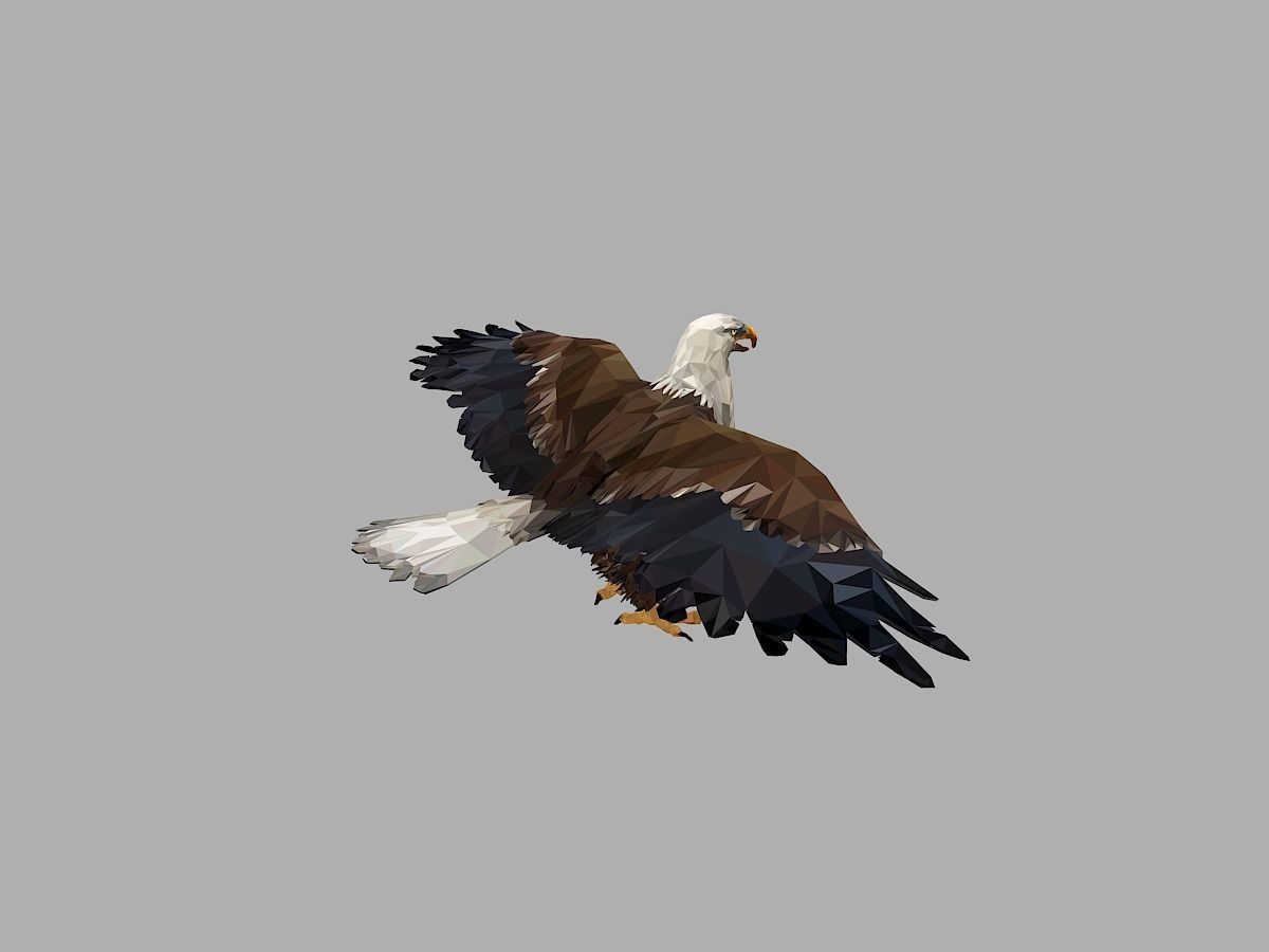 Bald Eagle Low Polygon Art Bird Animal Low-poly 3D model_13