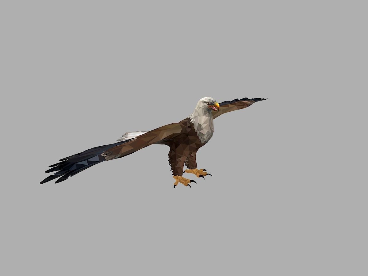 Bald Eagle Low Polygon Art Bird Animal Low-poly 3D model_19