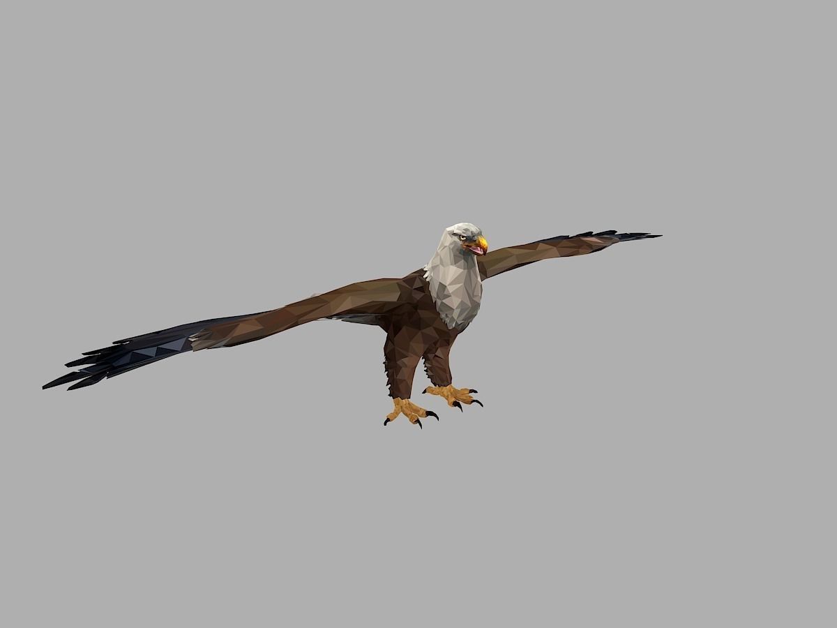 Bald Eagle Low Polygon Art Bird Animal Low-poly 3D model_20