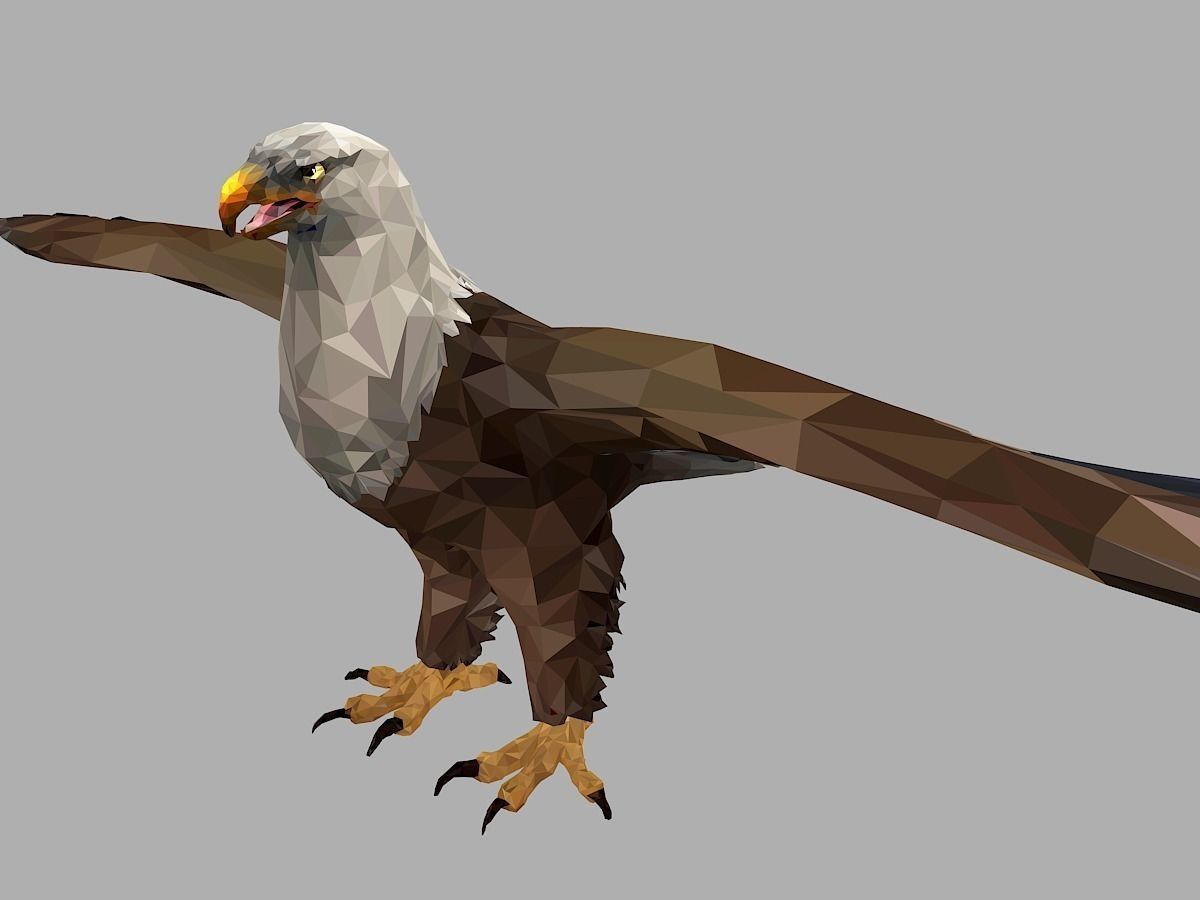Bald Eagle Low Polygon Art Bird Animal Low-poly 3D model_0