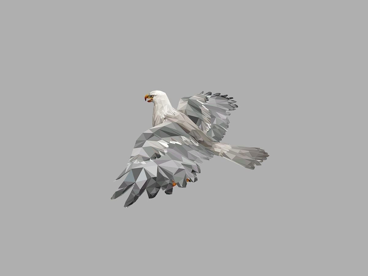 White Eagle Low Polygon Art Bird Animal Low-poly 3D model_3