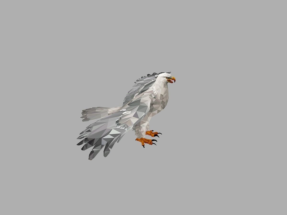 White Eagle Low Polygon Art Bird Animal Low-poly 3D model_14