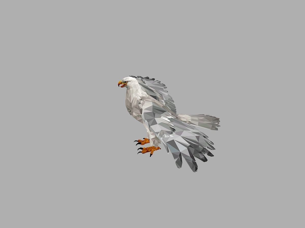 White Eagle Low Polygon Art Bird Animal Low-poly 3D model_4