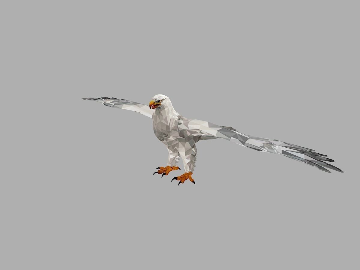 White Eagle Low Polygon Art Bird Animal Low-poly 3D model_2