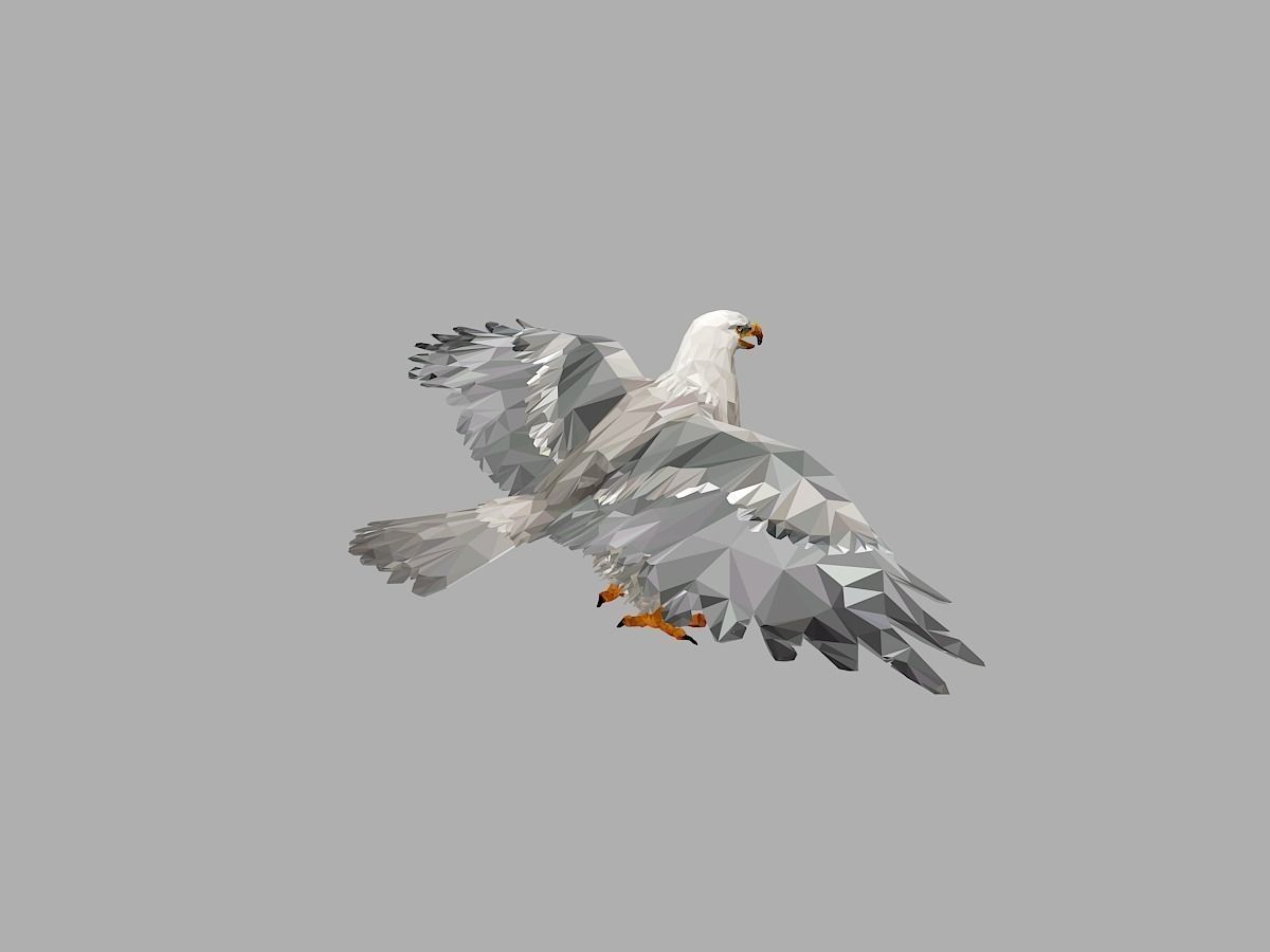 White Eagle Low Polygon Art Bird Animal Low-poly 3D model_13