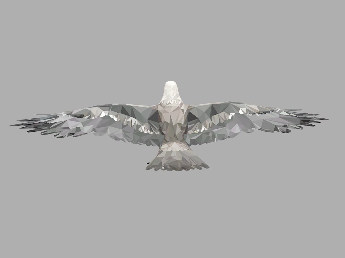 White Eagle Low Polygon Art Bird Animal Low-poly 3D model_7