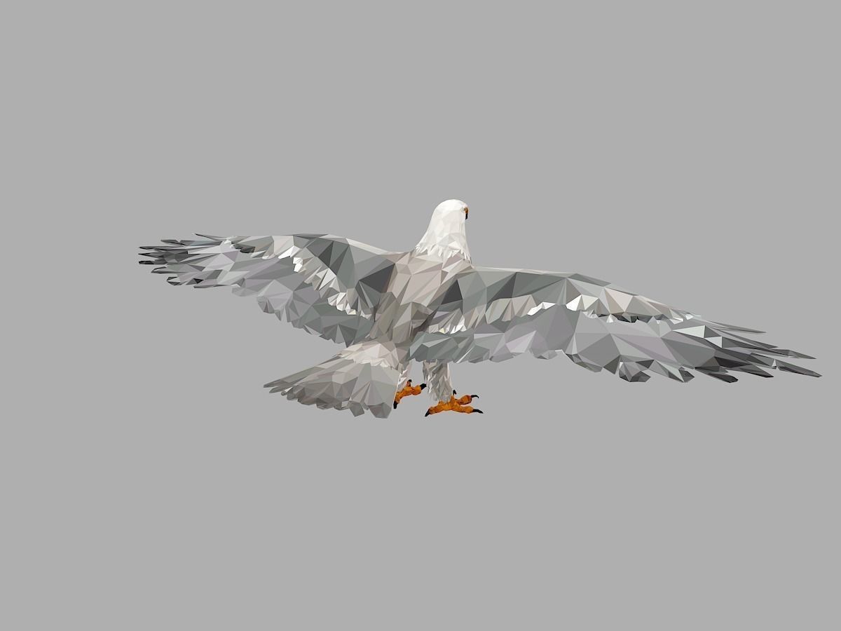White Eagle Low Polygon Art Bird Animal Low-poly 3D model_9