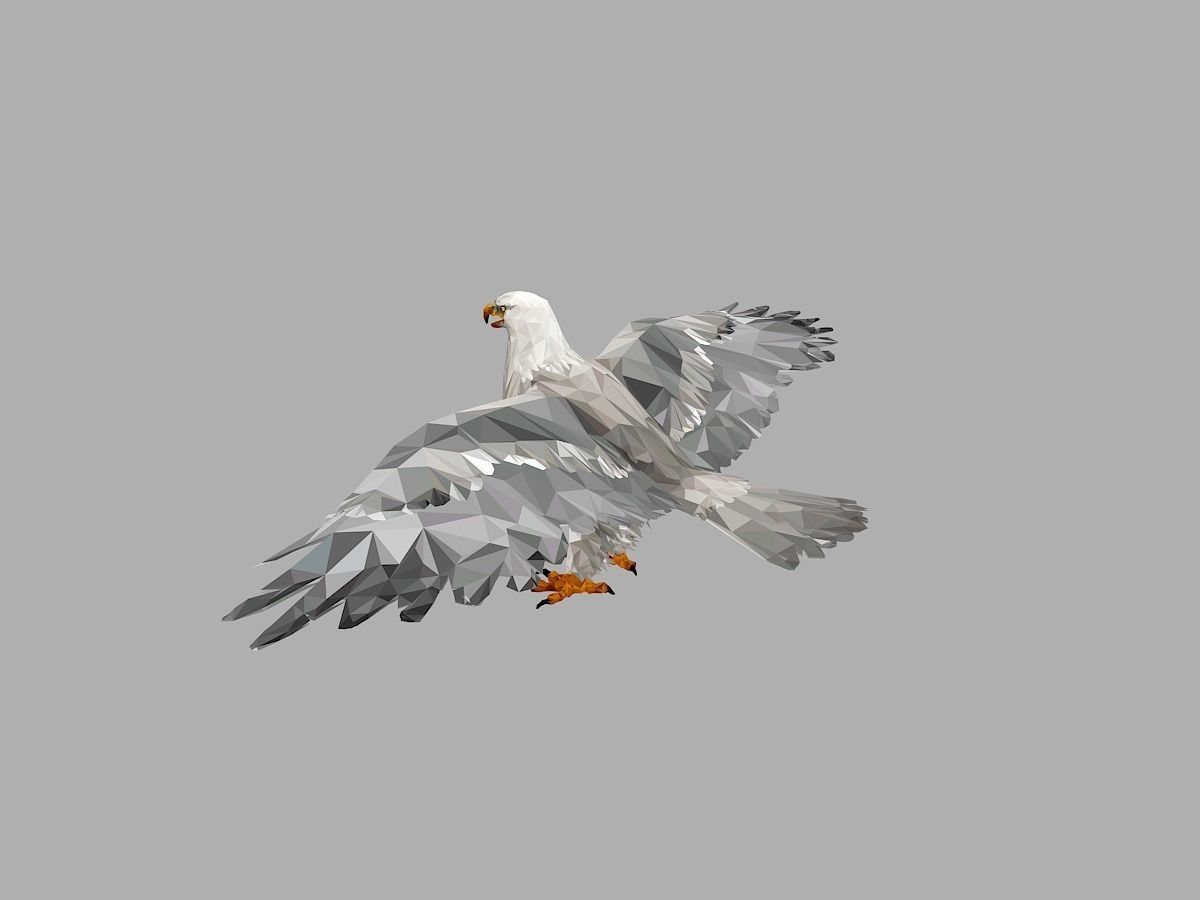 White Eagle Low Polygon Art Bird Animal Low-poly 3D model_5