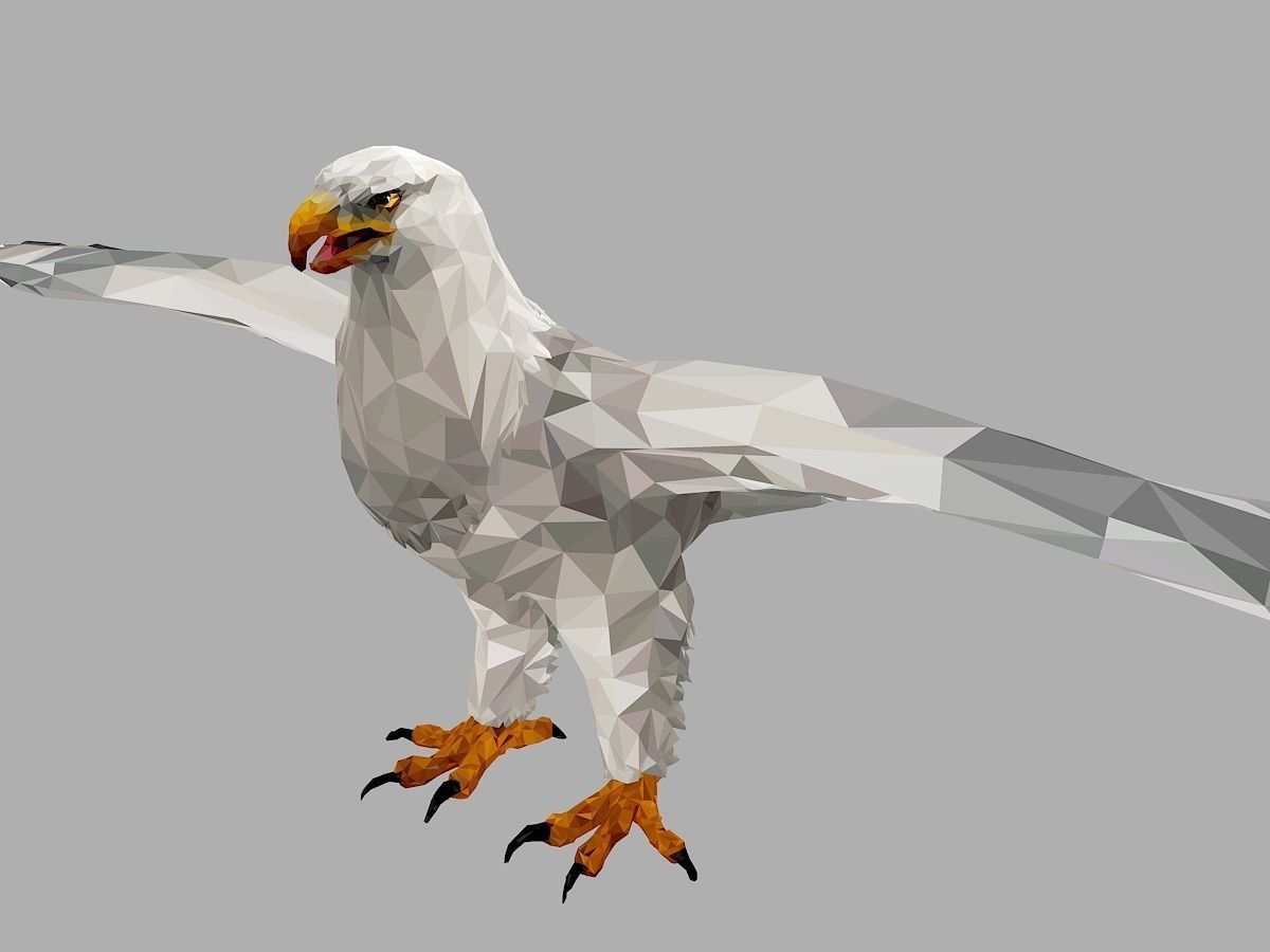 White Eagle Low Polygon Art Bird Animal Low-poly 3D model_0