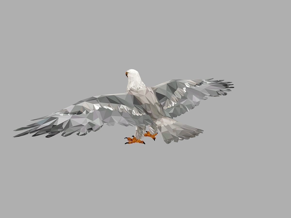 White Eagle Low Polygon Art Bird Animal Low-poly 3D model_6
