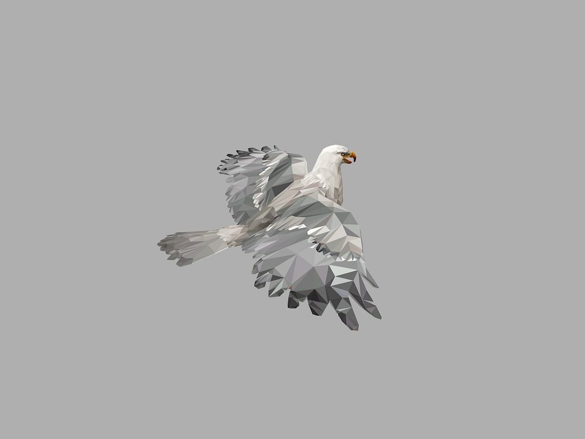 White Eagle Low Polygon Art Bird Animal Low-poly 3D model_10