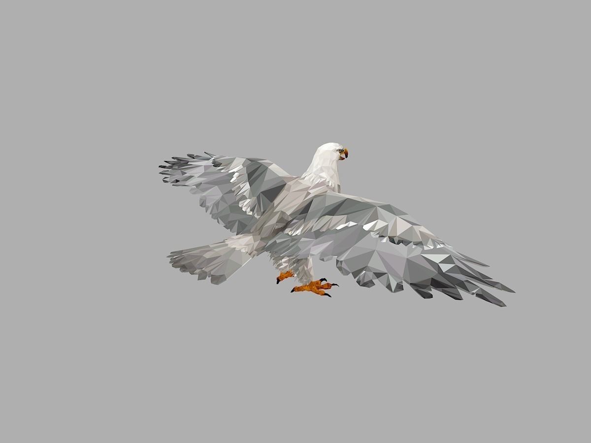 White Eagle Low Polygon Art Bird Animal Low-poly 3D model_15