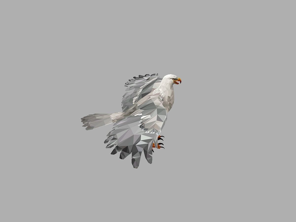 White Eagle Low Polygon Art Bird Animal Low-poly 3D model_12