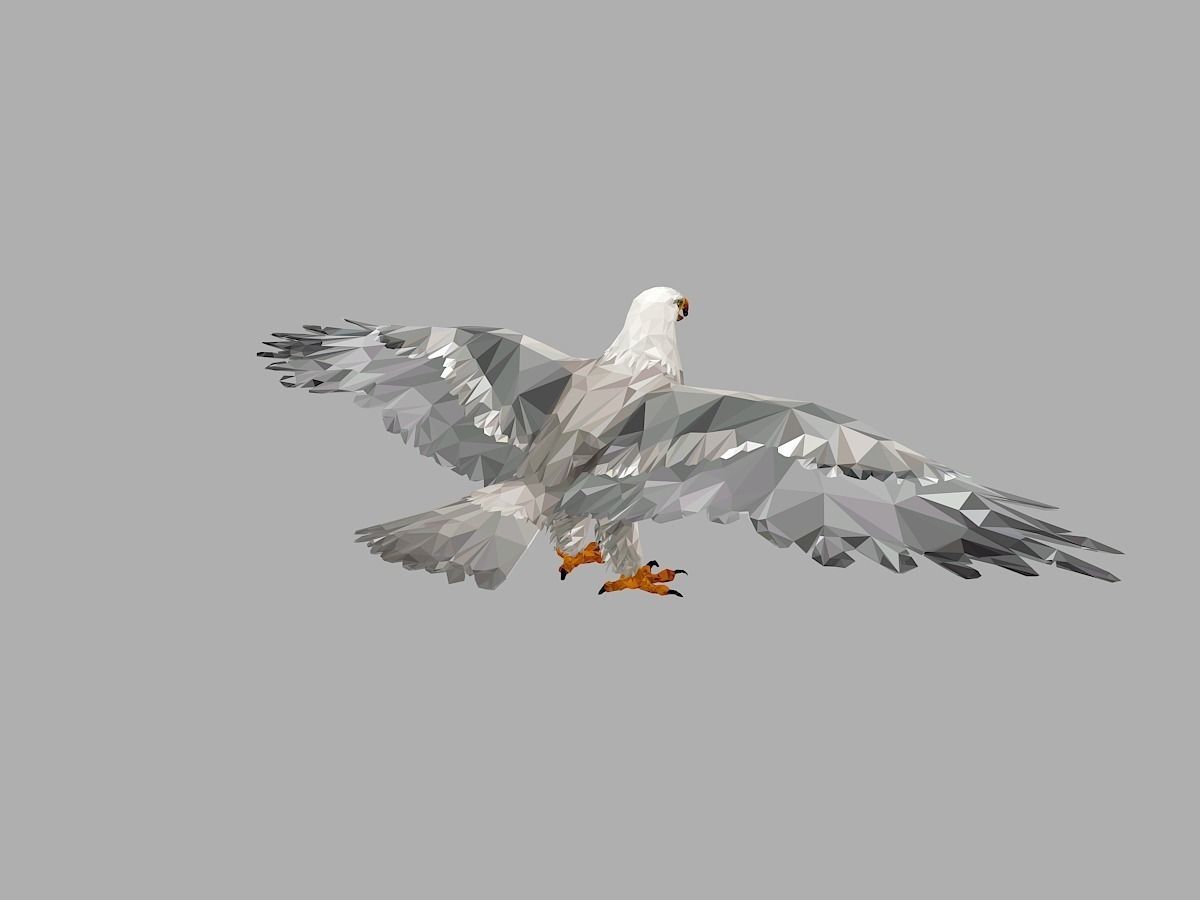 White Eagle Low Polygon Art Bird Animal Low-poly 3D model_11