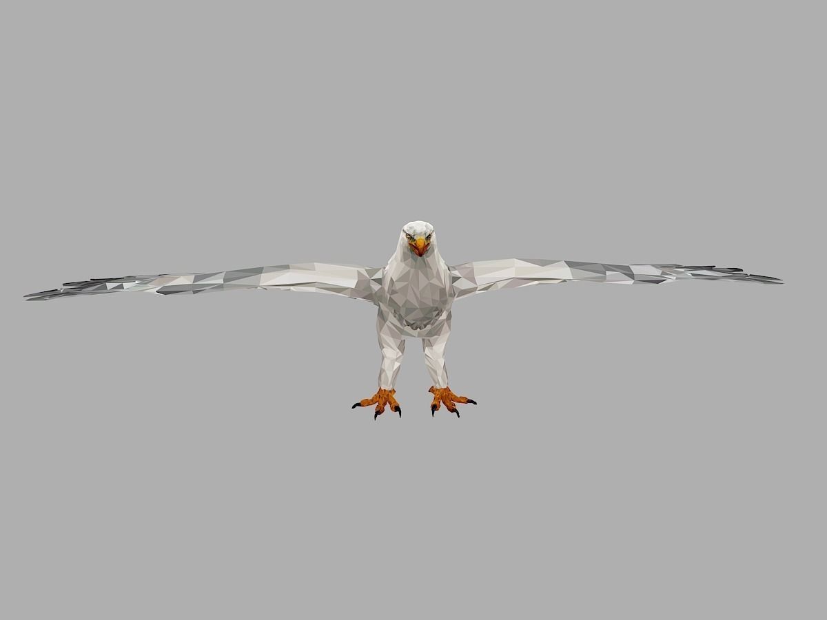 White Eagle Low Polygon Art Bird Animal Low-poly 3D model_1