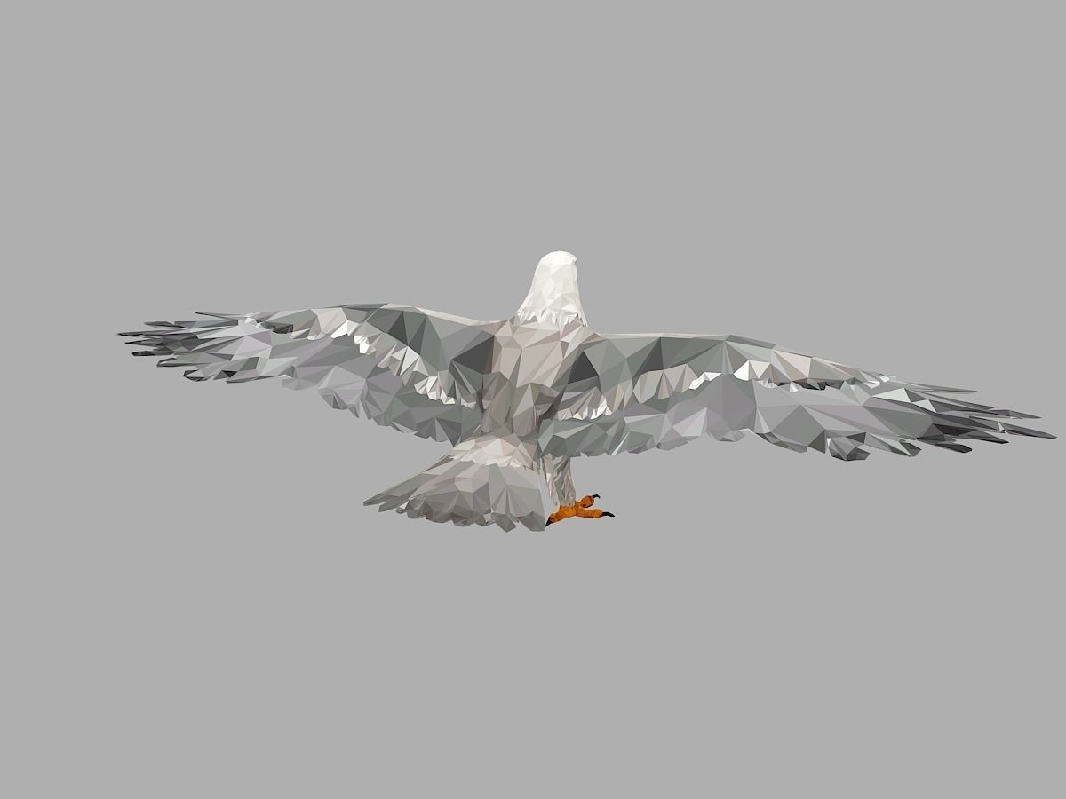 White Eagle Low Polygon Art Bird Animal Low-poly 3D model_8