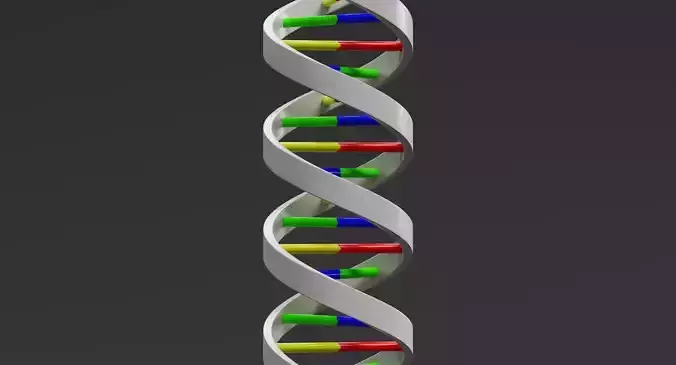 -DNA-