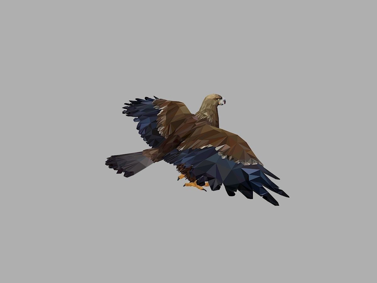 Eagle Low Polygon Art Bird Animal Low-poly 3D model_8