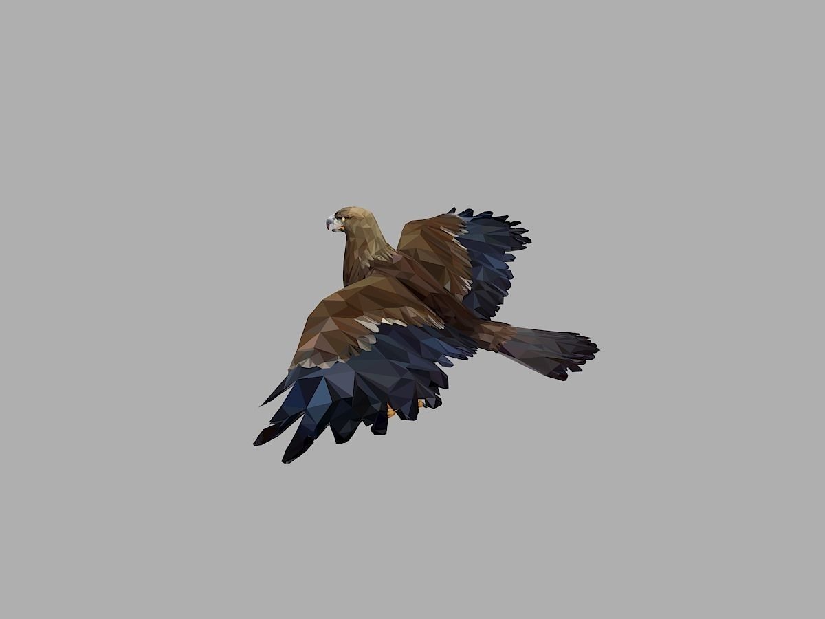 Eagle Low Polygon Art Bird Animal Low-poly 3D model_4